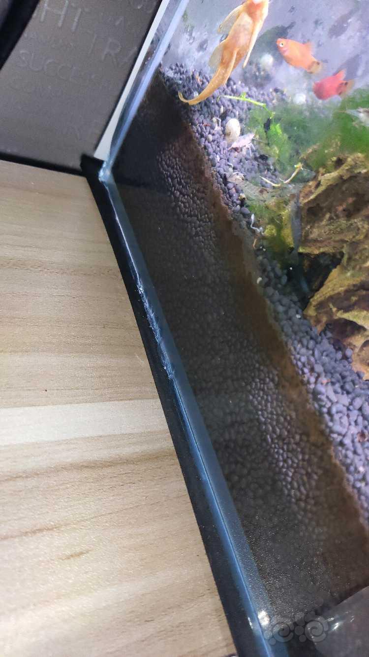 啊啊啊啊啊鱼缸发现破裂了?怎么回事?-图2