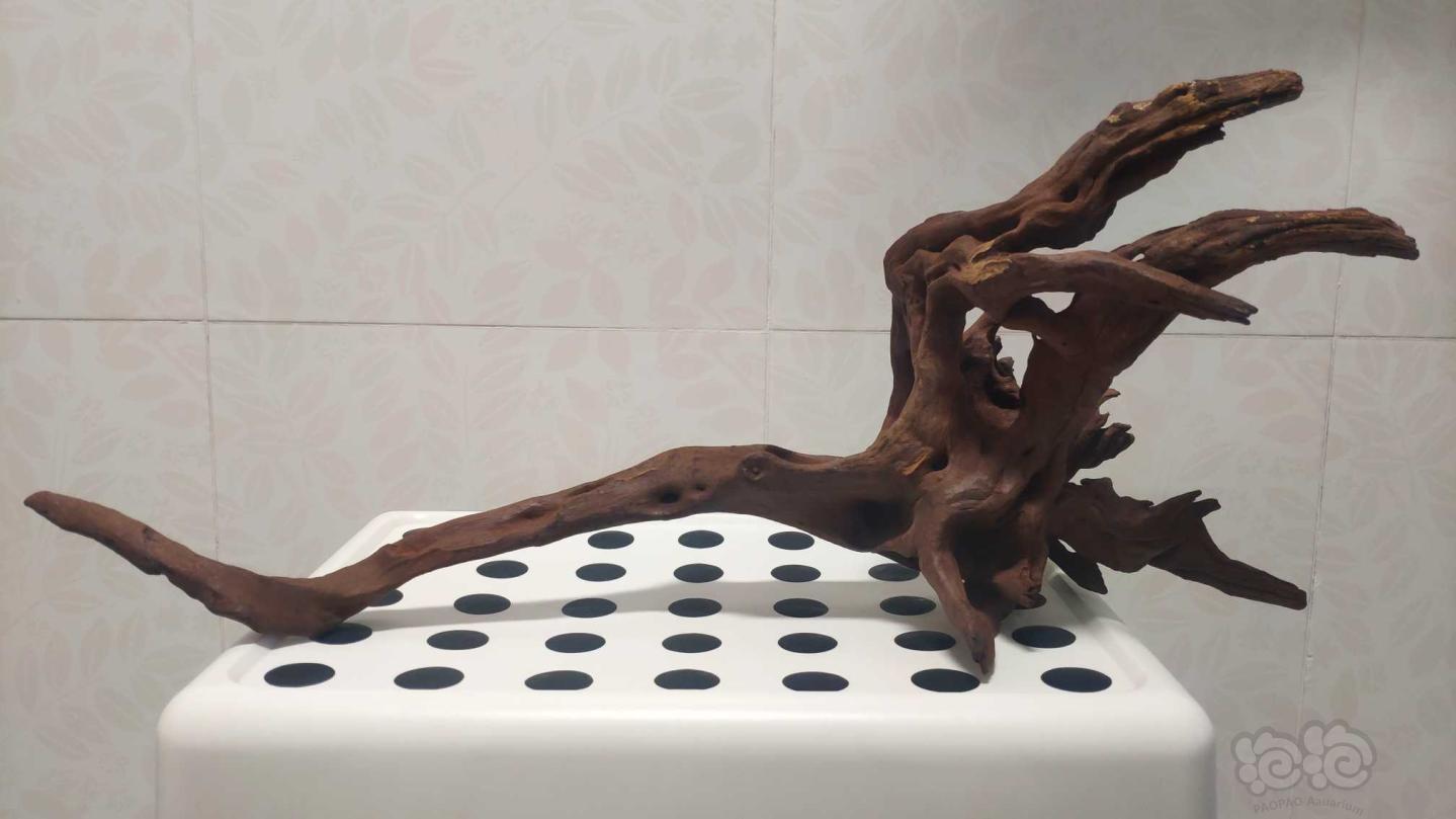 其他借泡泡出两块极品造型沉木