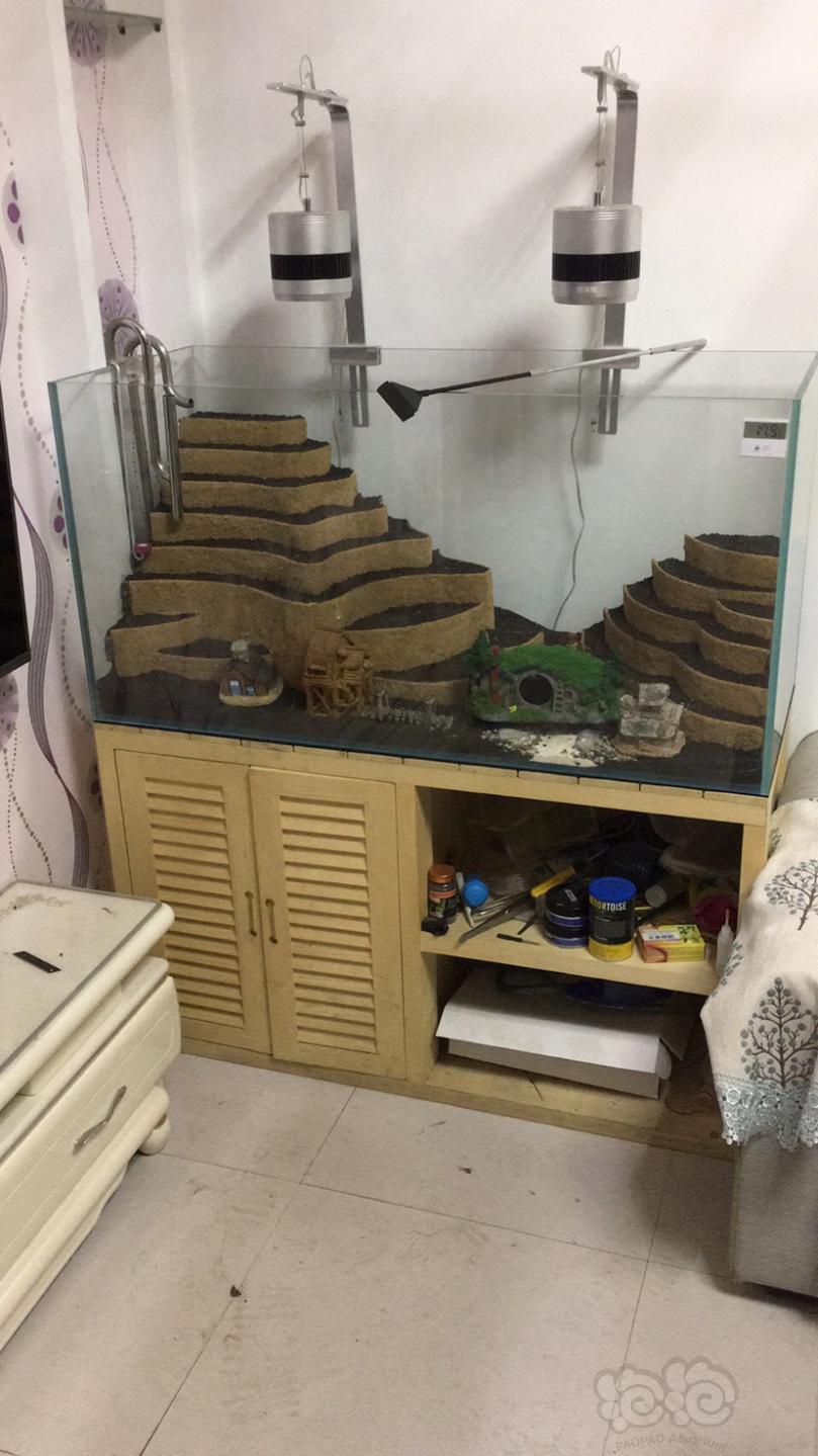 这个全套一米二的梯田造景入缸啦