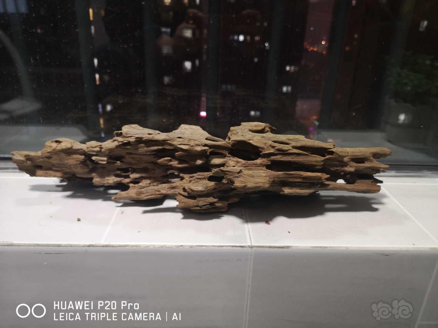 【用品】2019-12-16#RMB拍卖 虾木流木-图1