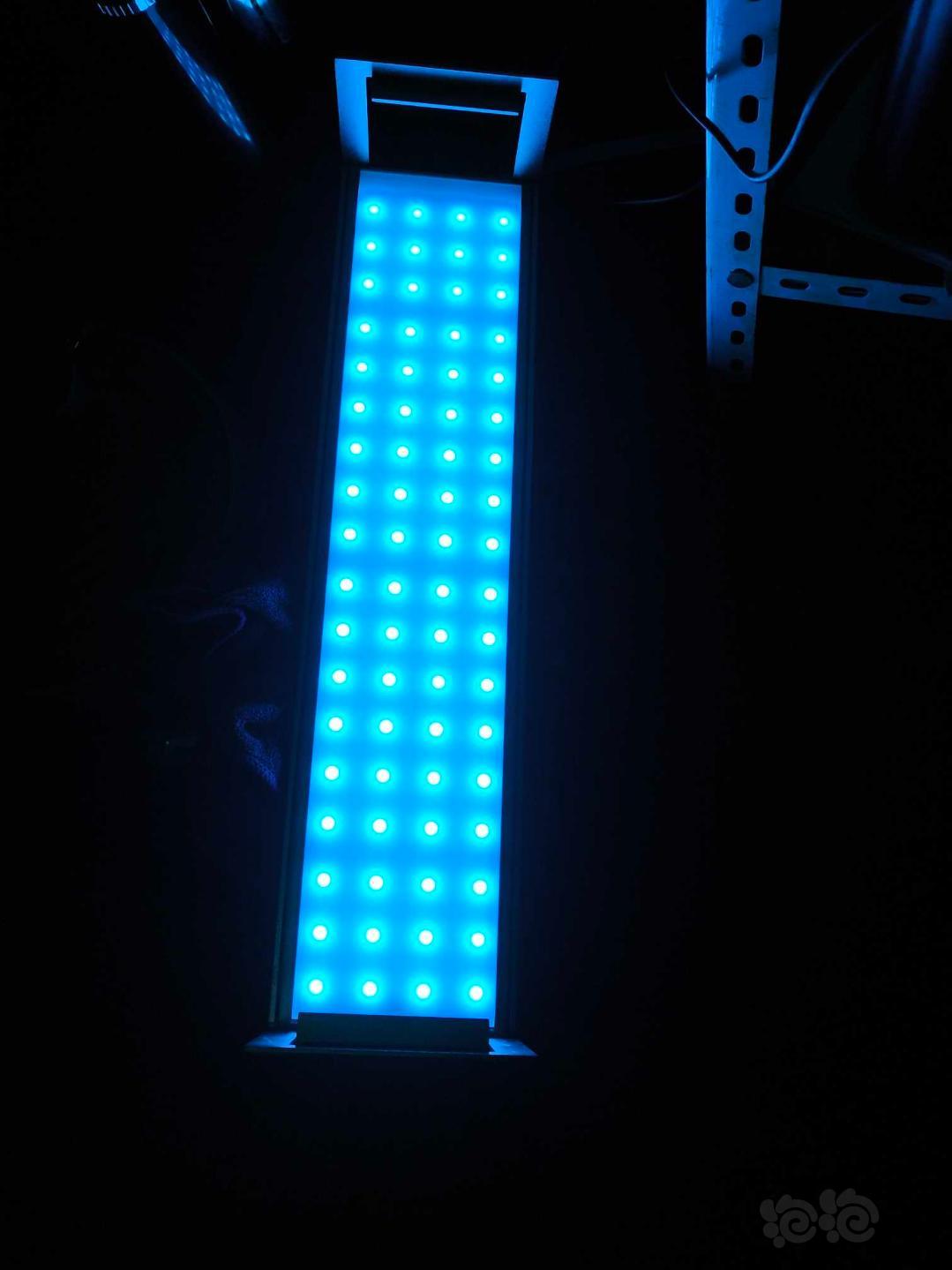 出娜拉E450新款可调光版LED灯-图6