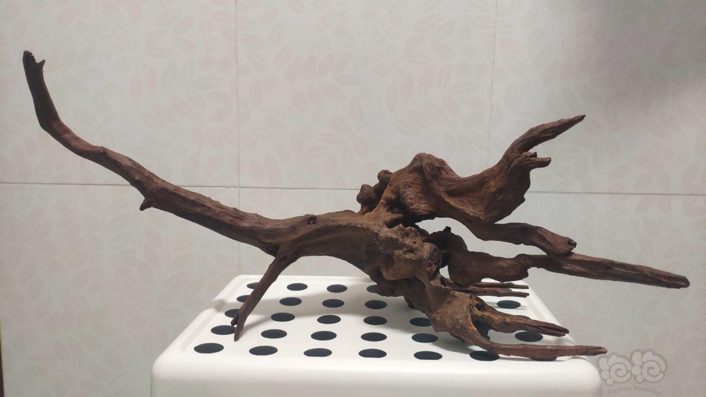 其他借泡泡出两块极品造型沉木