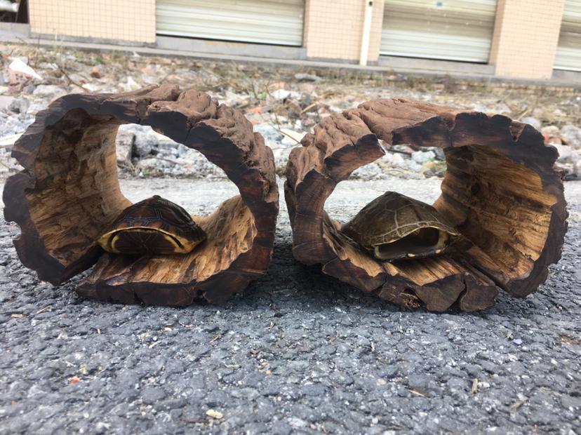 紫柚沉木纯手工制作树洞