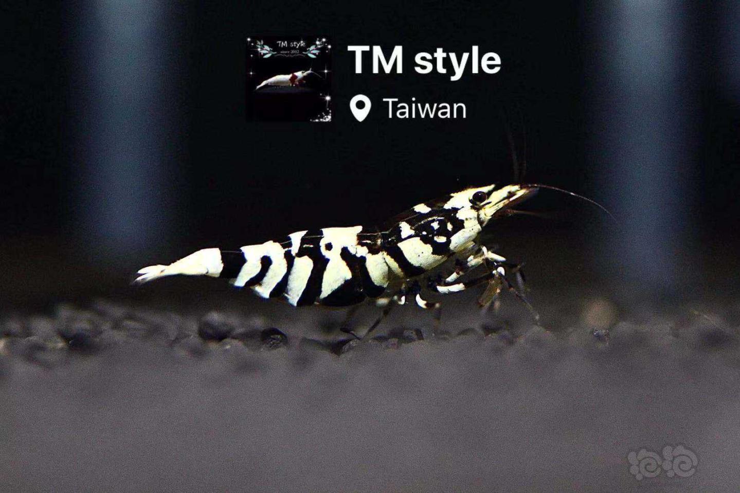 台湾虾房最后一站！汤米虾房-图1