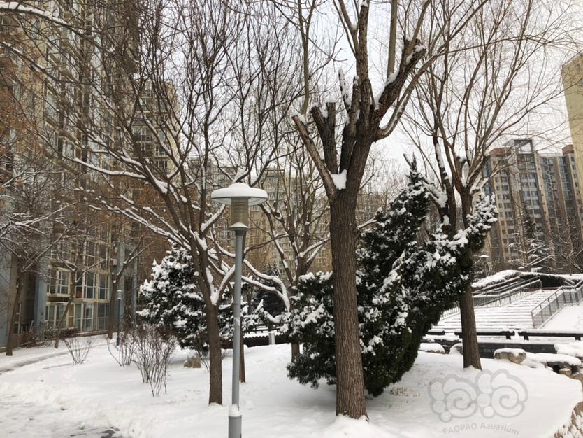 【交流】北京这雪可真够大-图2