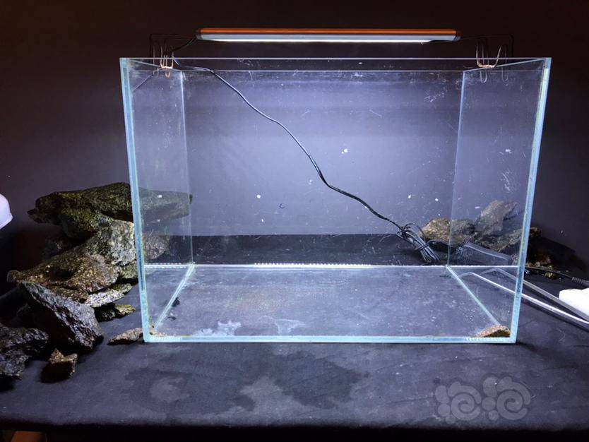 原生缸造景3020虾虎缸