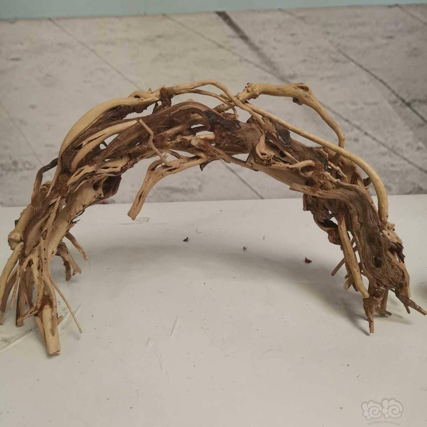 大家欣赏杜鹃根拱桥