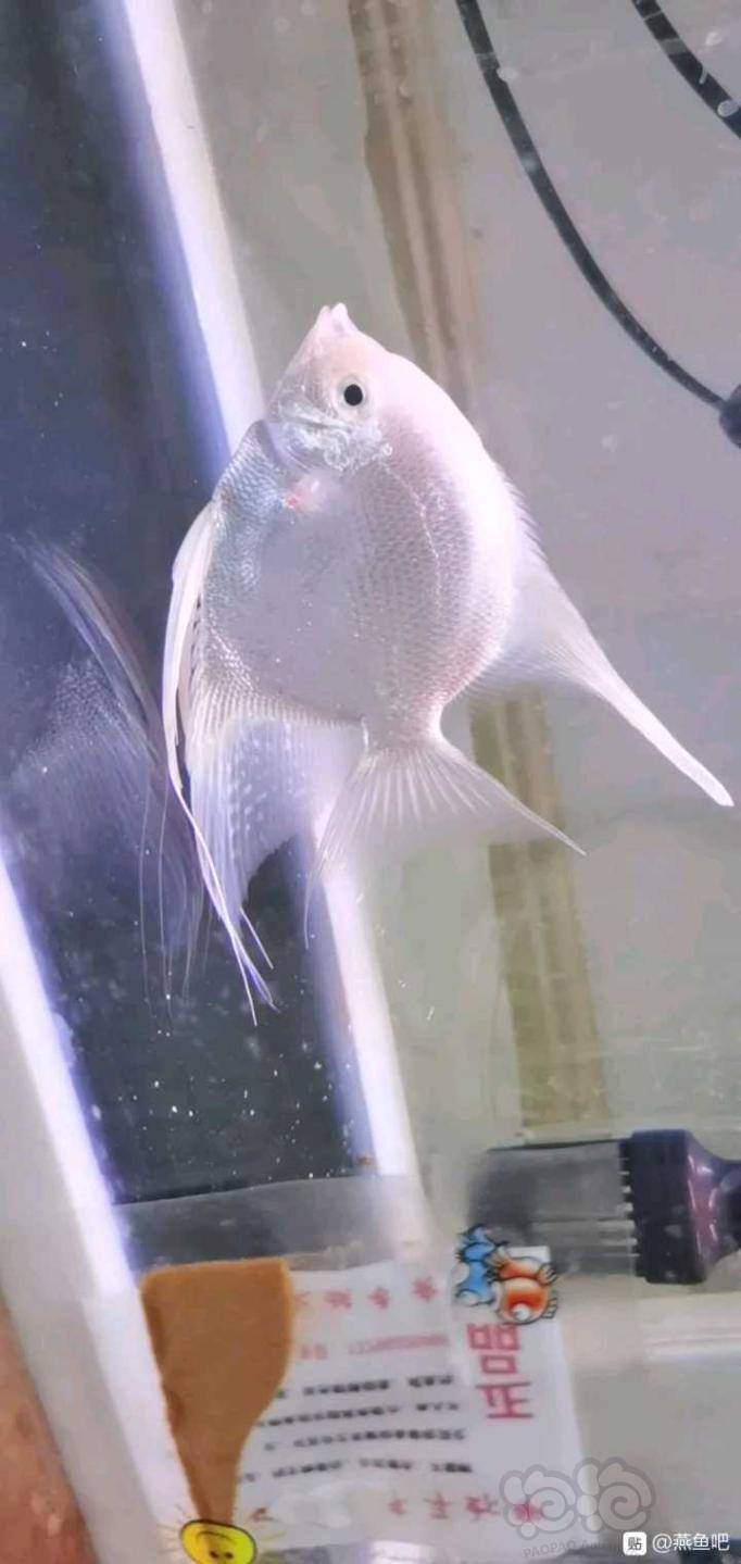 其它帮忙看看公母