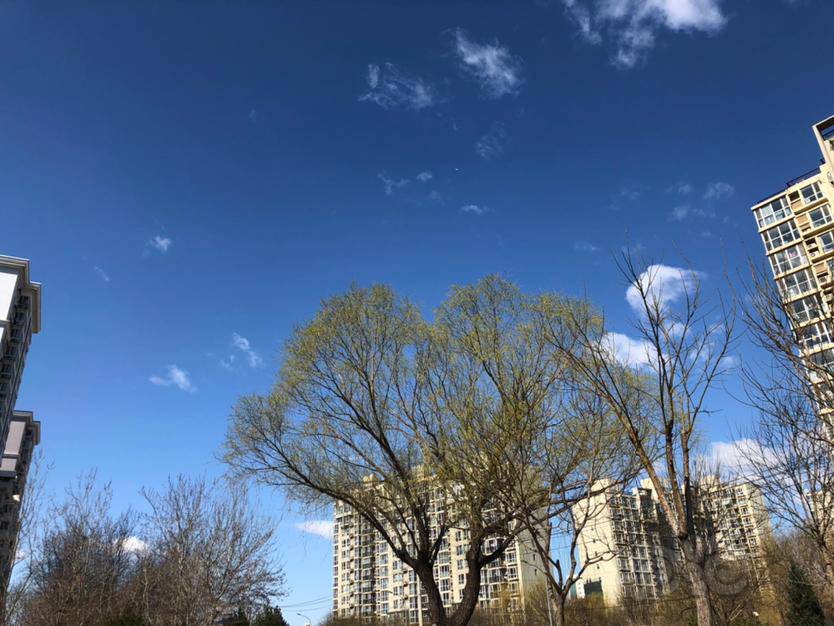 今天天气不错听风和日丽的