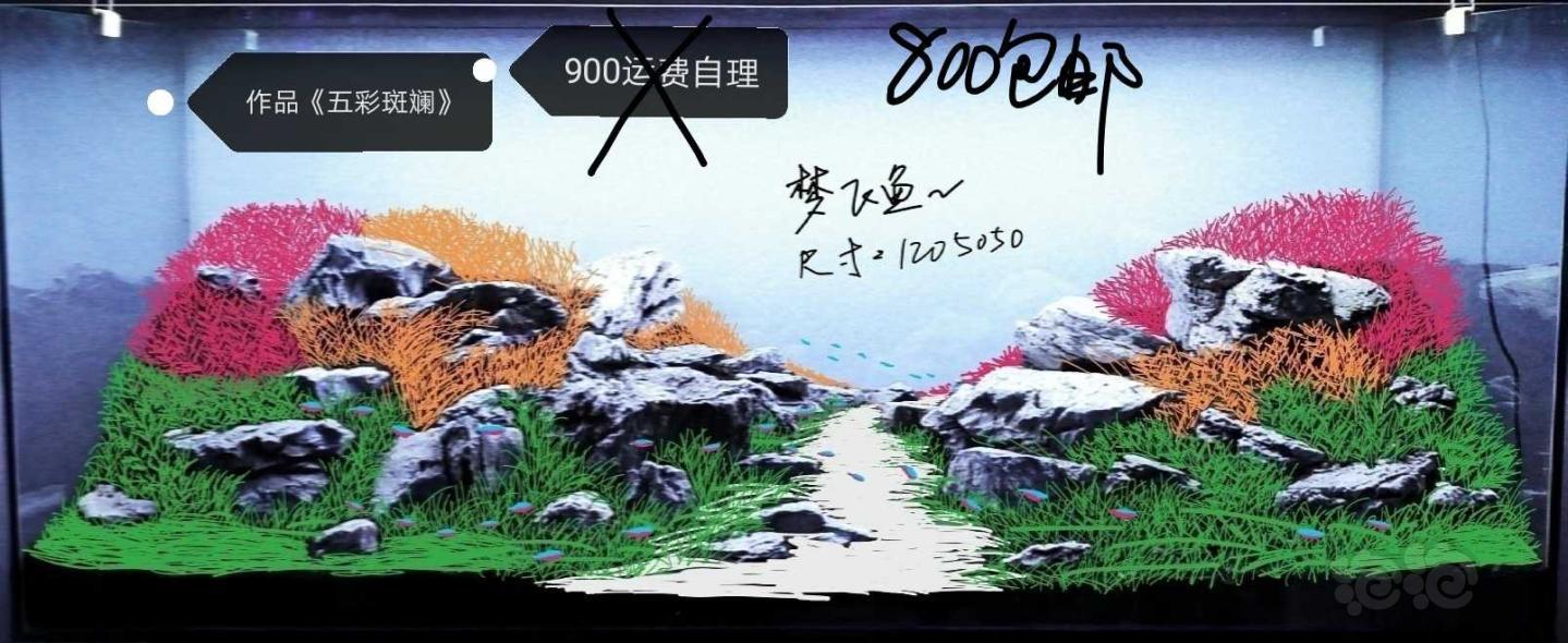 【其他】青龙石火山岩松皮石造景-图4