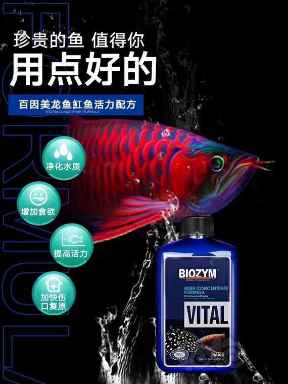 2020-4-5#RMB拍卖百因美龙鱼魟鱼硝化细菌1000ml1瓶-图2