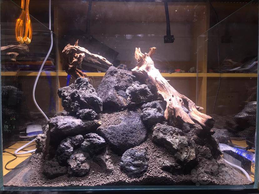 黑色火山石鱼缸造景还不错吧 - 泡泡水族