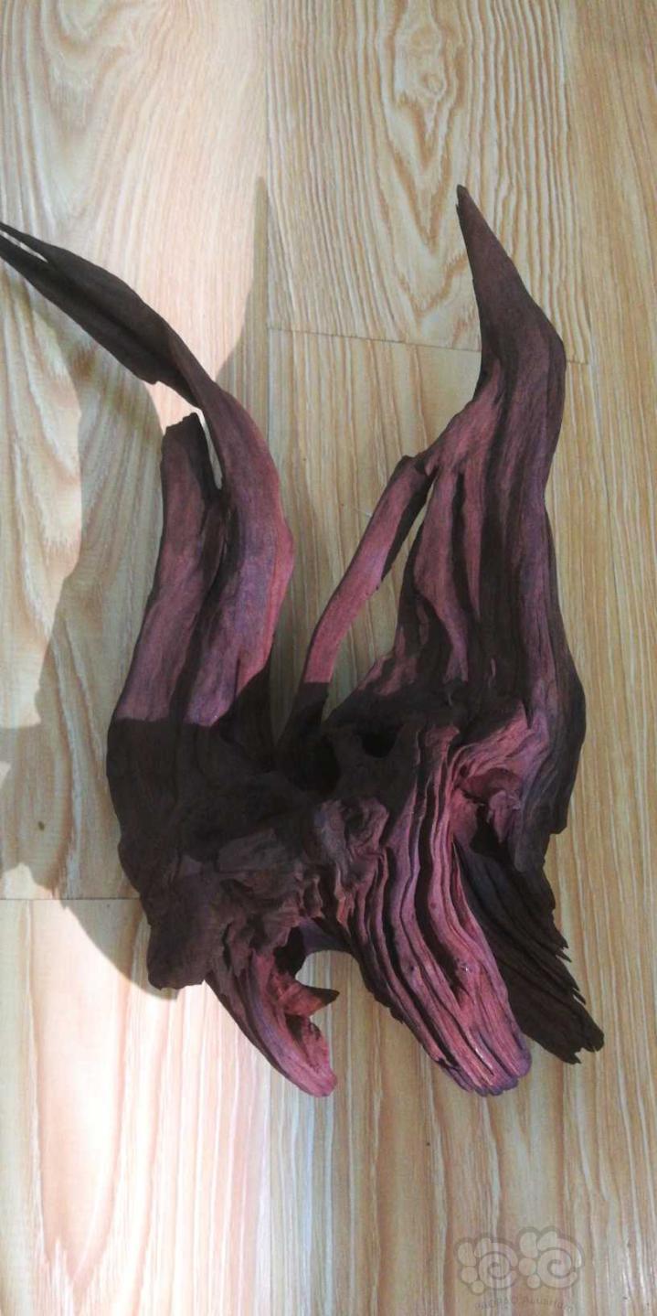 【其他】出块精品流木，紫柚木-图4