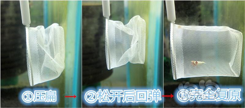 2020-05-14#RMB拍卖3D手工直杆虾捞一把-图6