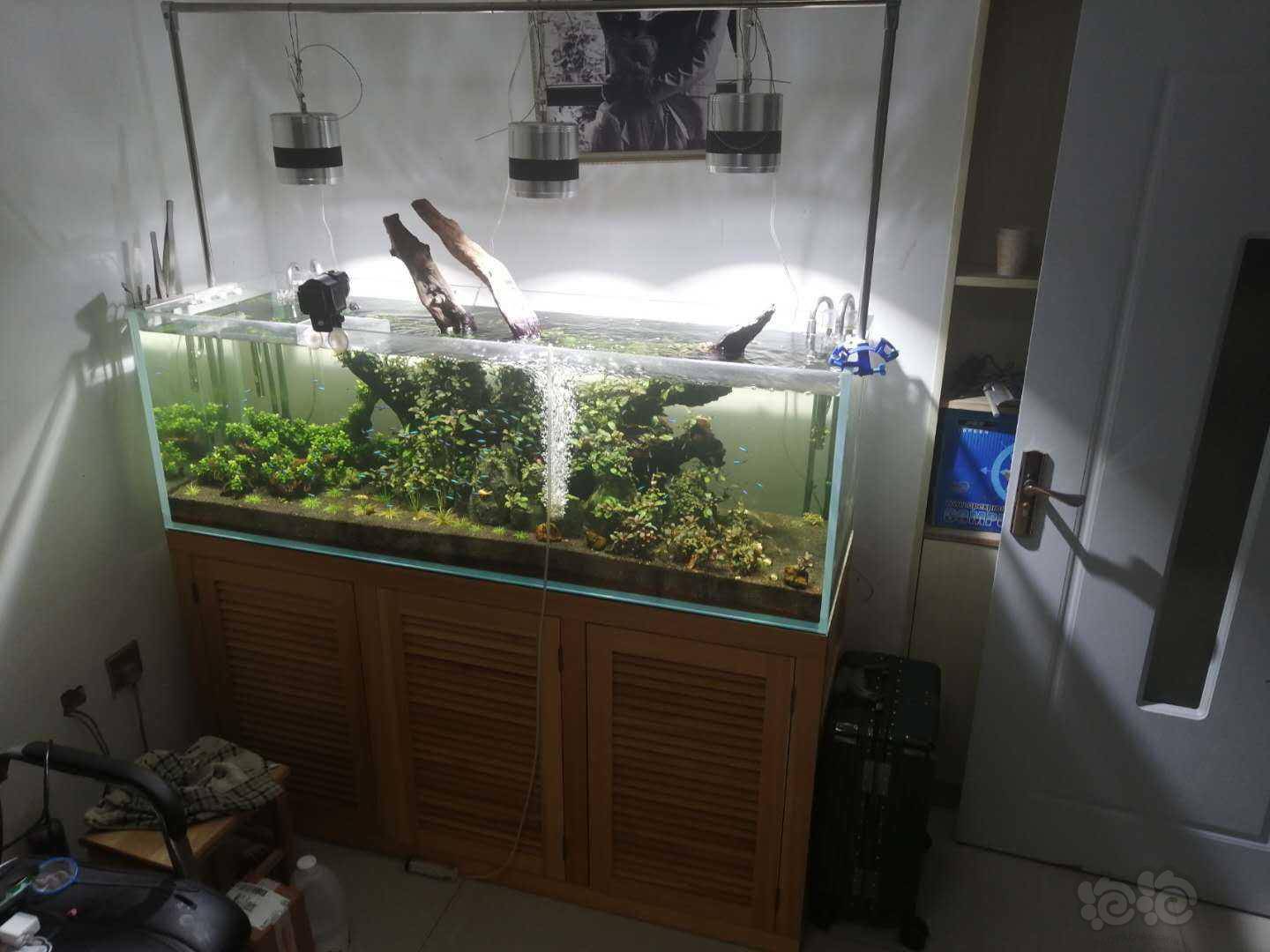 出售待鱼友发沈阳出全套1米5实木超白鱼缸上岸