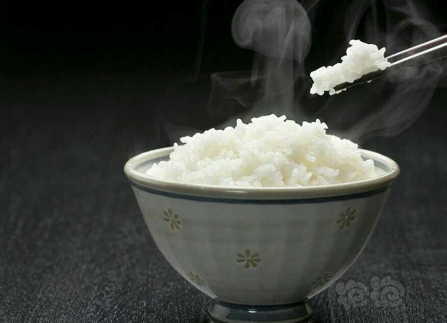 一碗米饭🍚。-图1