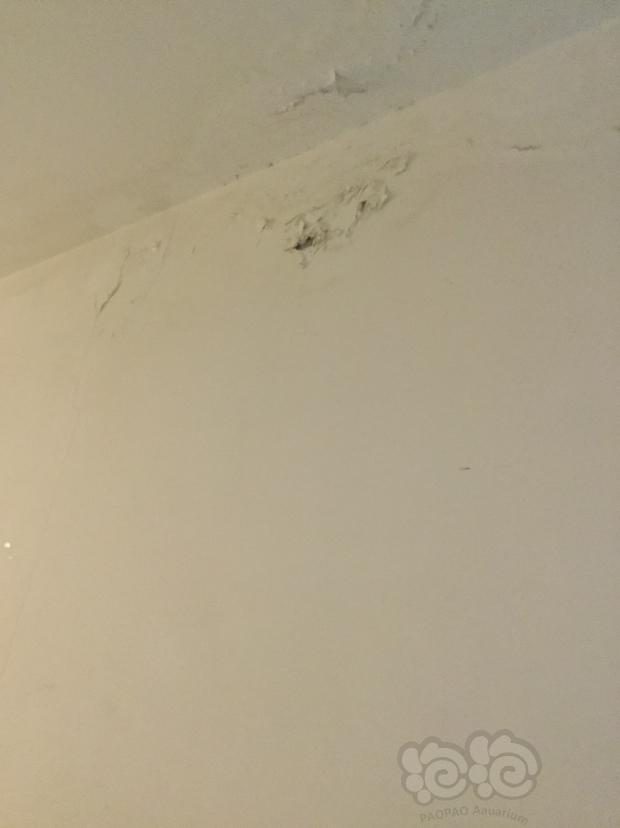 家里墙上的壁纸烂了。-图1