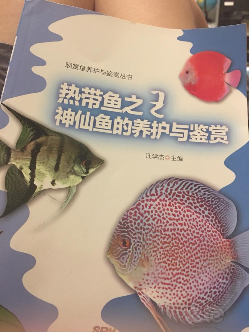 给大家推荐一本书《热带鱼之王——神仙鱼的养护与鉴赏》-图1