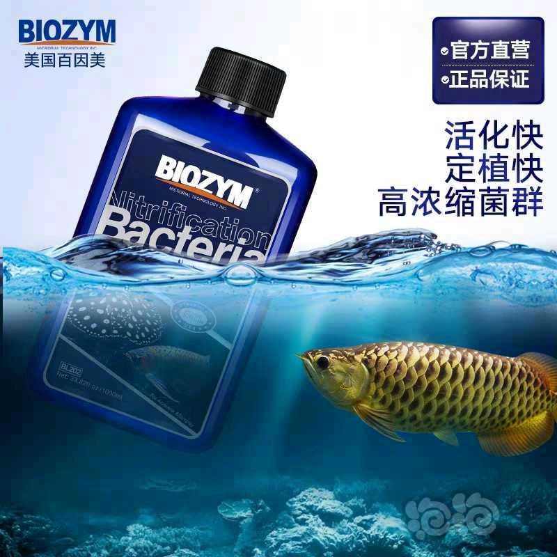 2020-6-20#RMB拍卖百因美龙鱼魟鱼硝化细菌1000ml1瓶-图1
