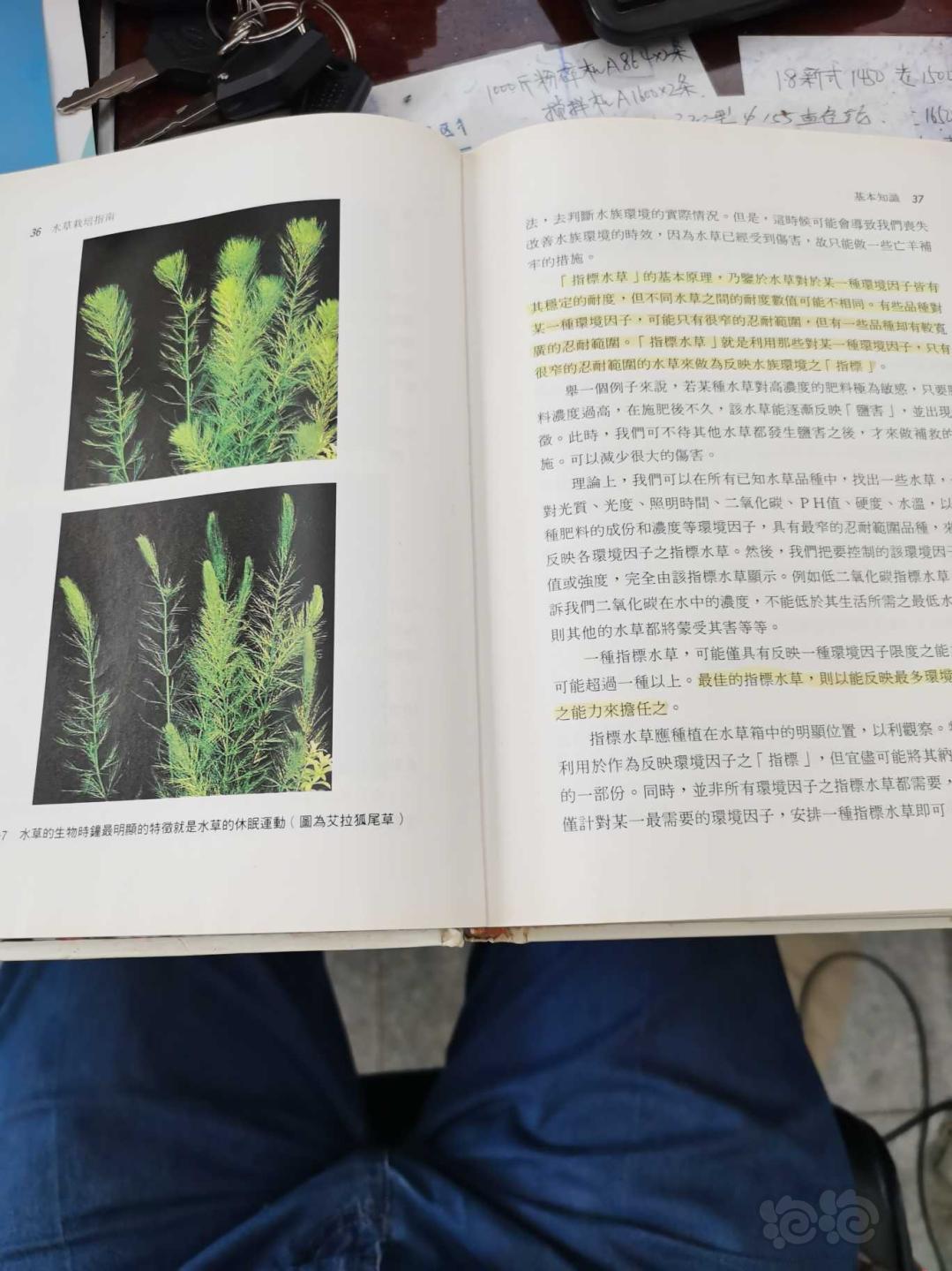台湾版《水草栽培指南》书籍-图6
