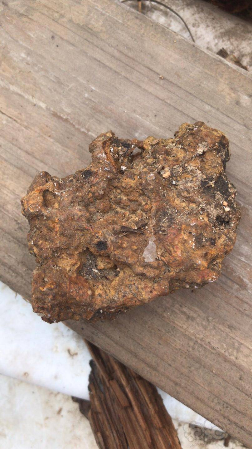 请问这是苏石吗