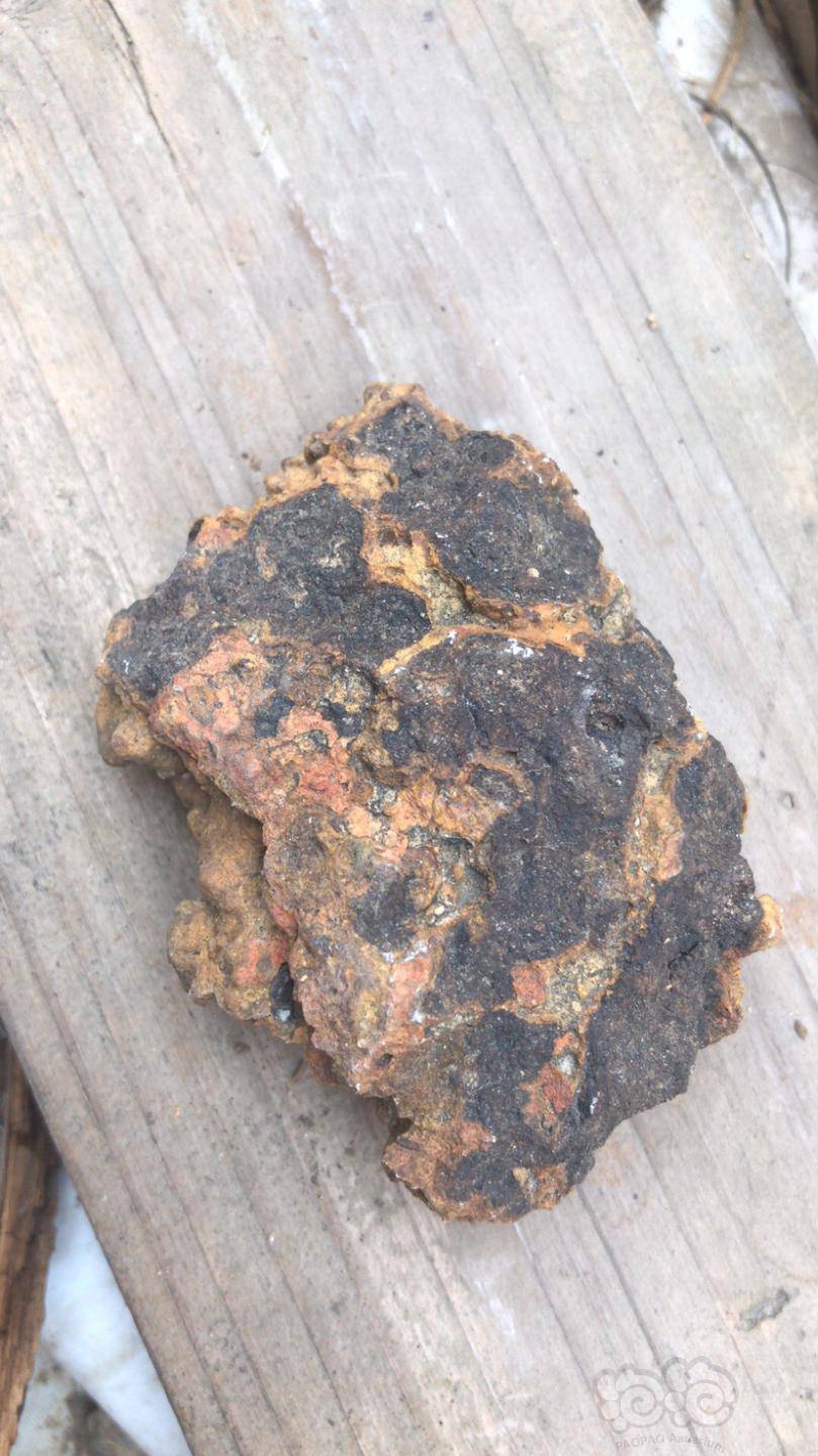 请问这是苏石吗