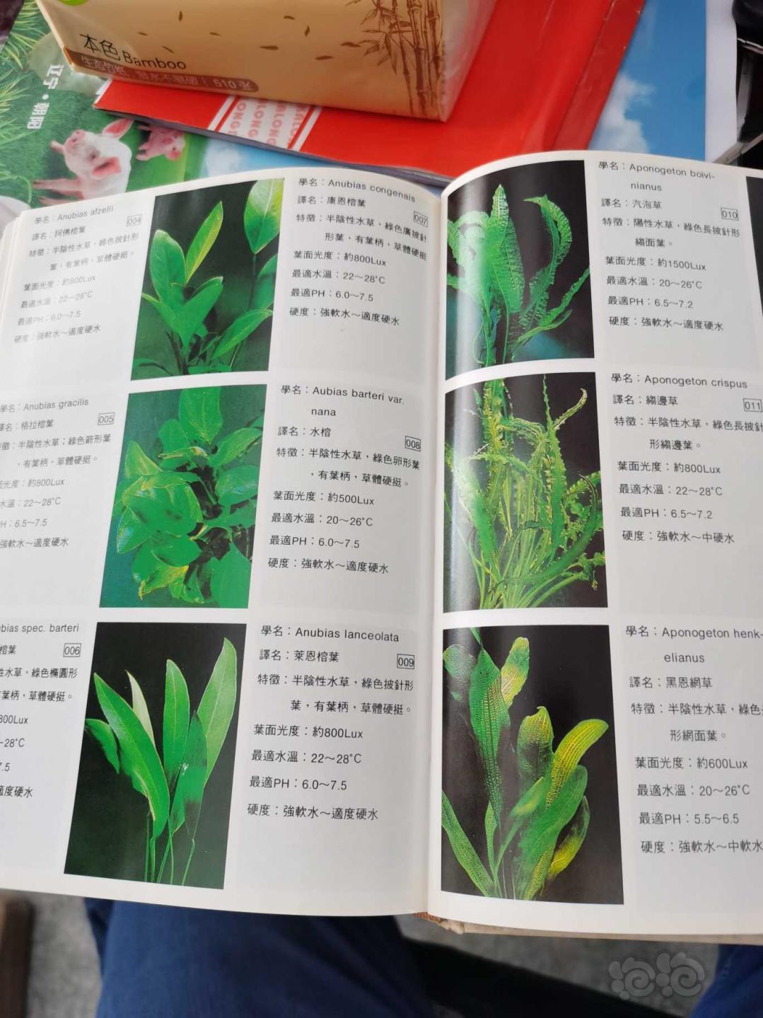 台湾版《水草栽培指南》书籍-图3