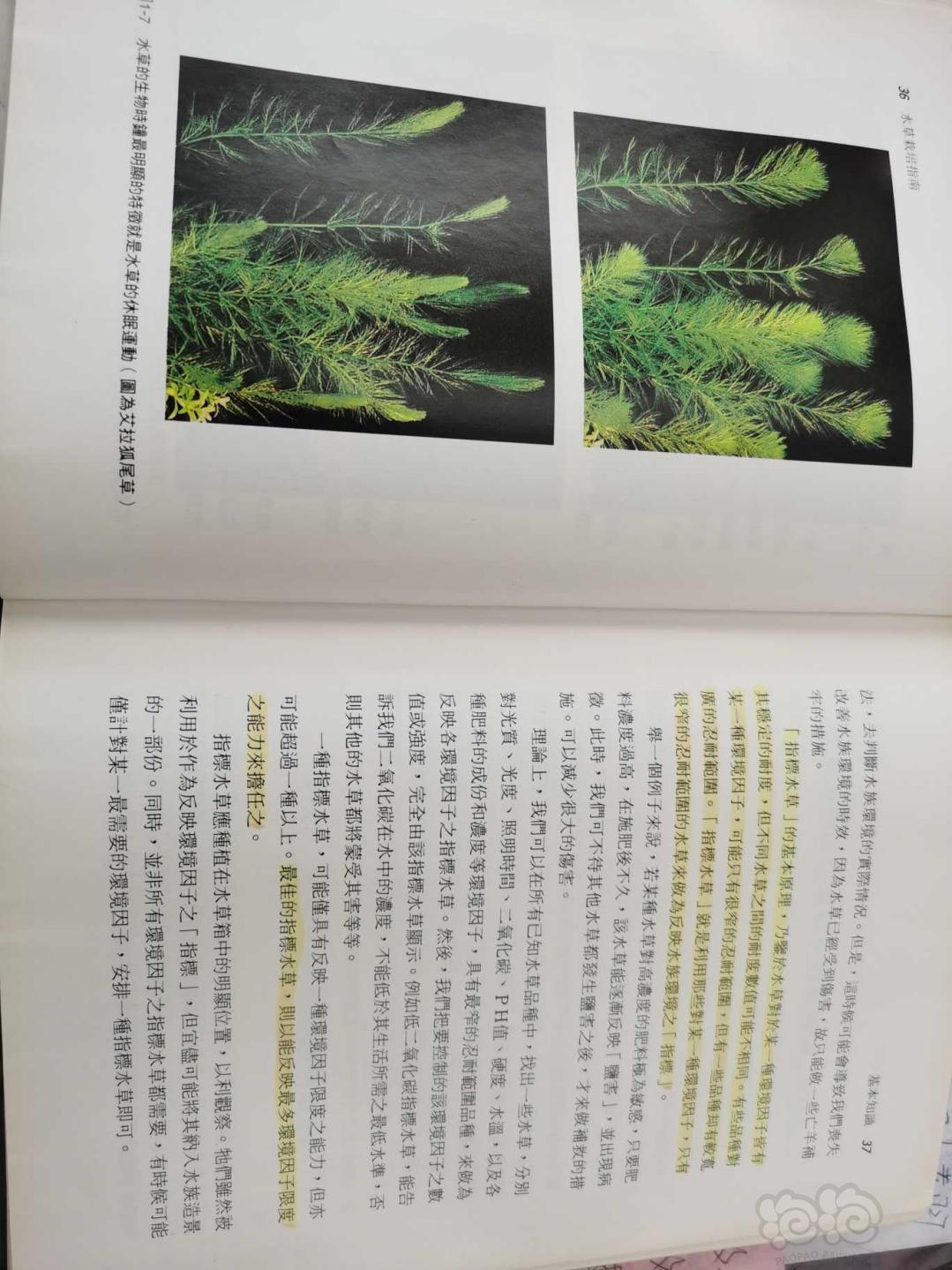 台湾版《水草栽培指南》书籍-图5
