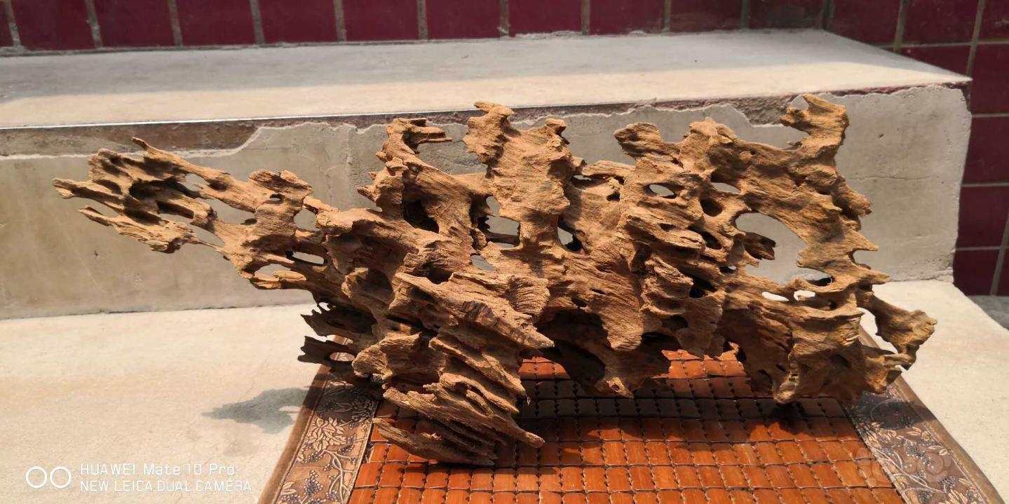 【用品】2020-06-26#RMB拍卖 虾木流木-图1