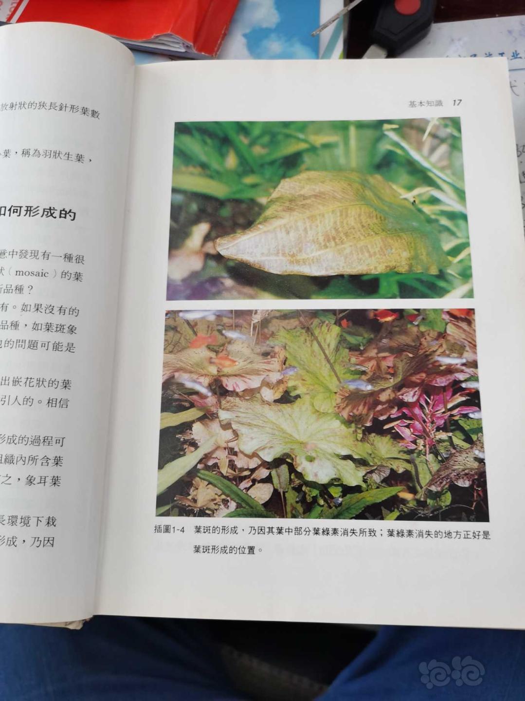 台湾版《水草栽培指南》书籍-图4