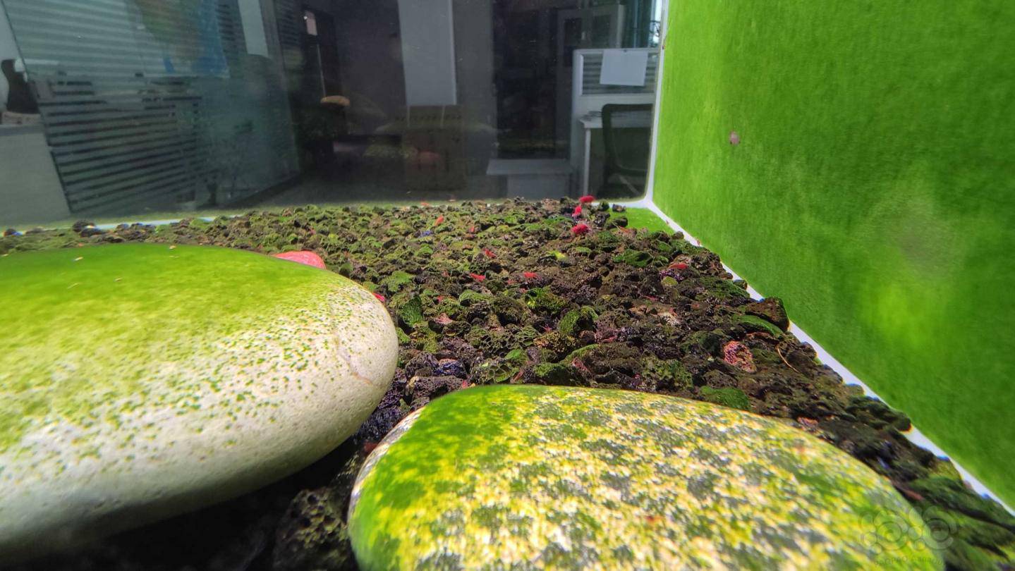 爆缸的节奏有图有真相