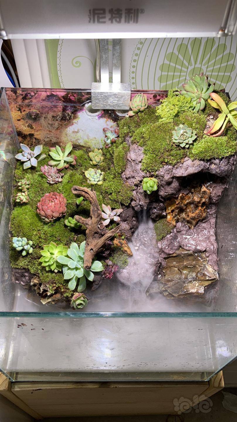 提问大神们问问