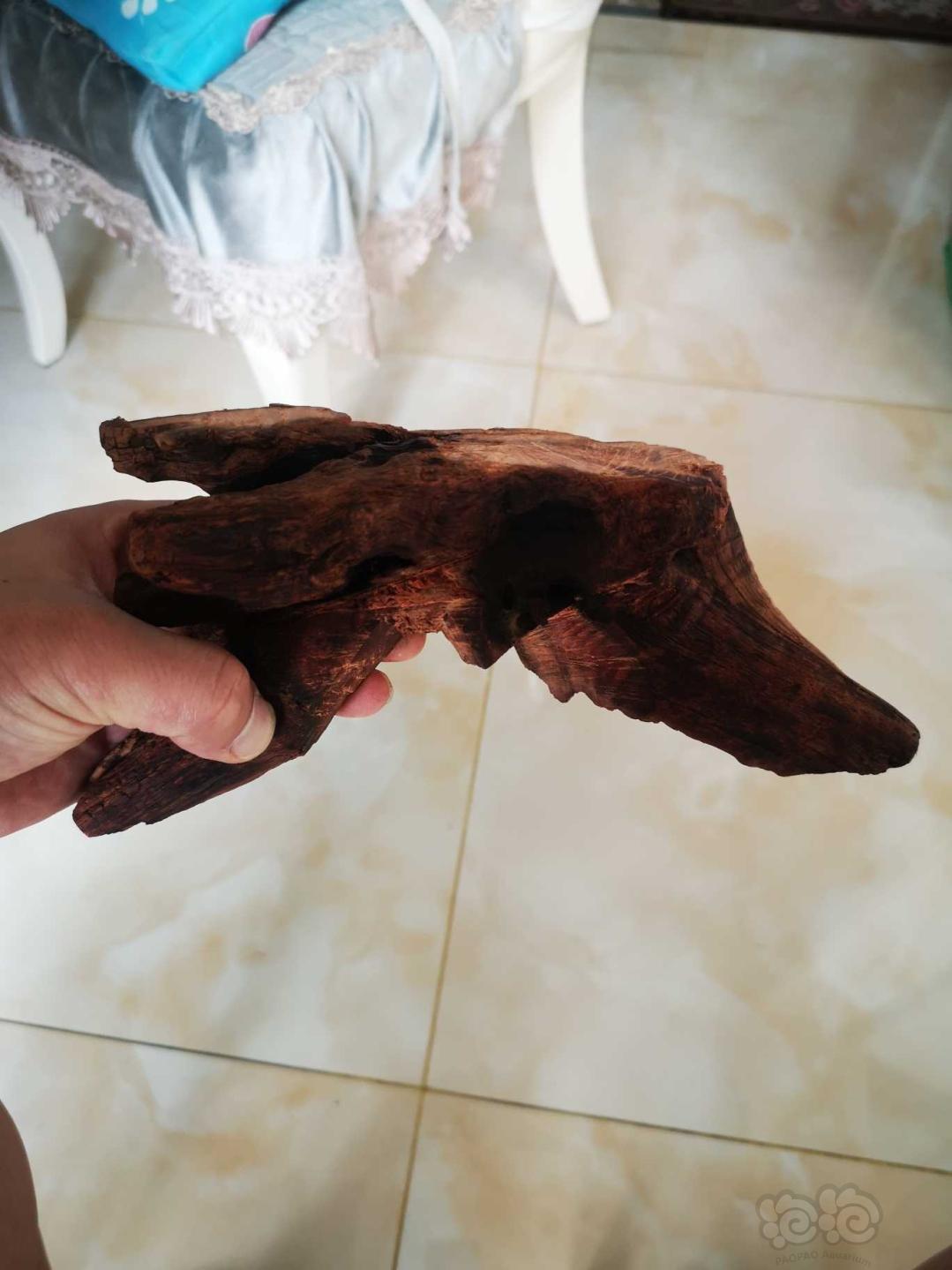 【虾】2020—6—29#RMB拍卖沉木虾木两块-图1