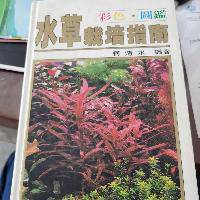 送食虫植物 塞提捕虫堇 泡泡水族