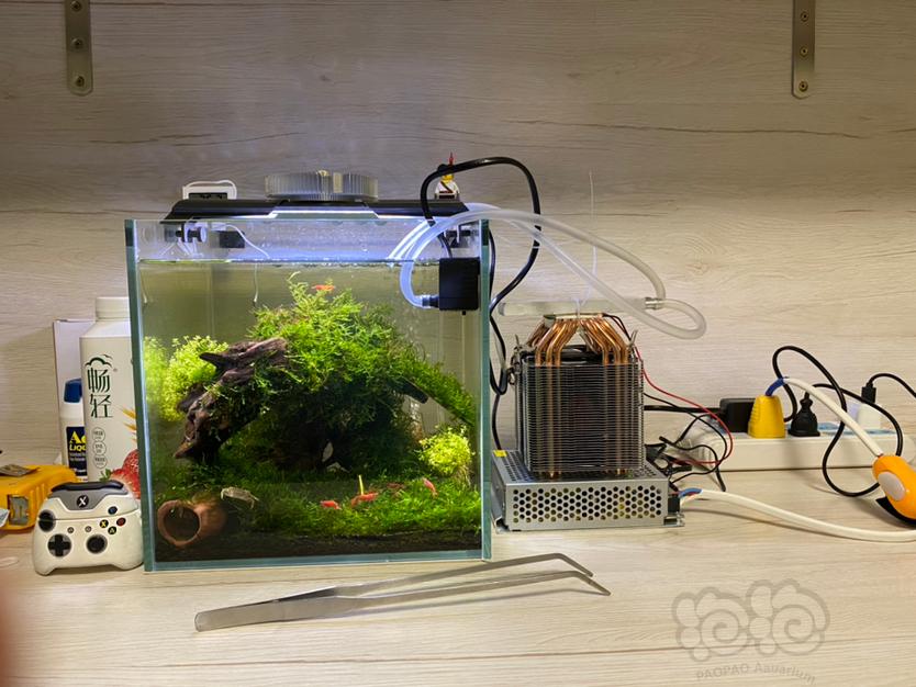 水晶虾缸自制冷水机-图1
