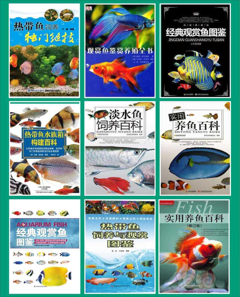 【其它】【史上最全】水族书单全收录（一）综合鱼及鱼病篇-图5