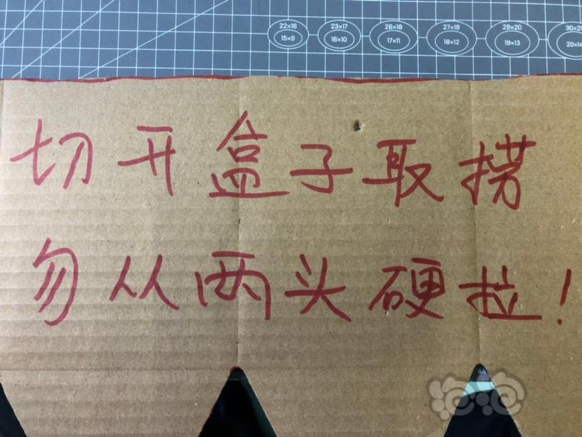 2020-08-28#RMB拍卖鸡翅木把手直杆3D虾捞1把-图7