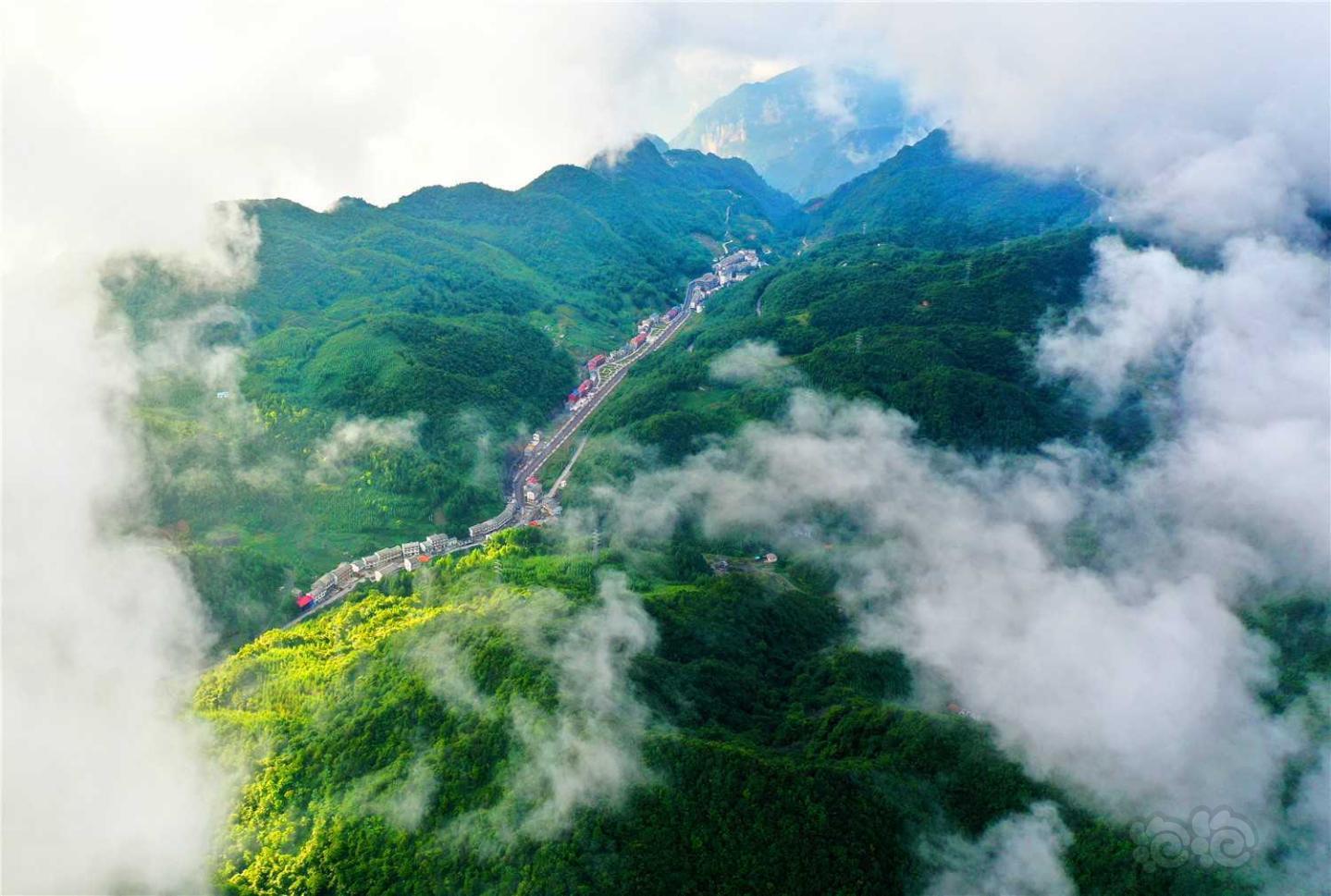 每日一景|重庆巫山-图1