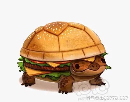 汉堡🍔大乌龟🐢-图1