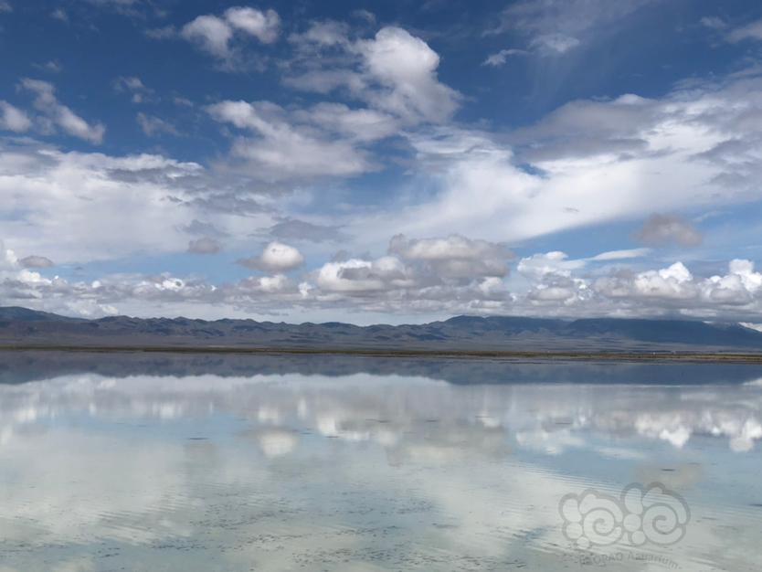 茶卡盐湖-天空之镜-图4