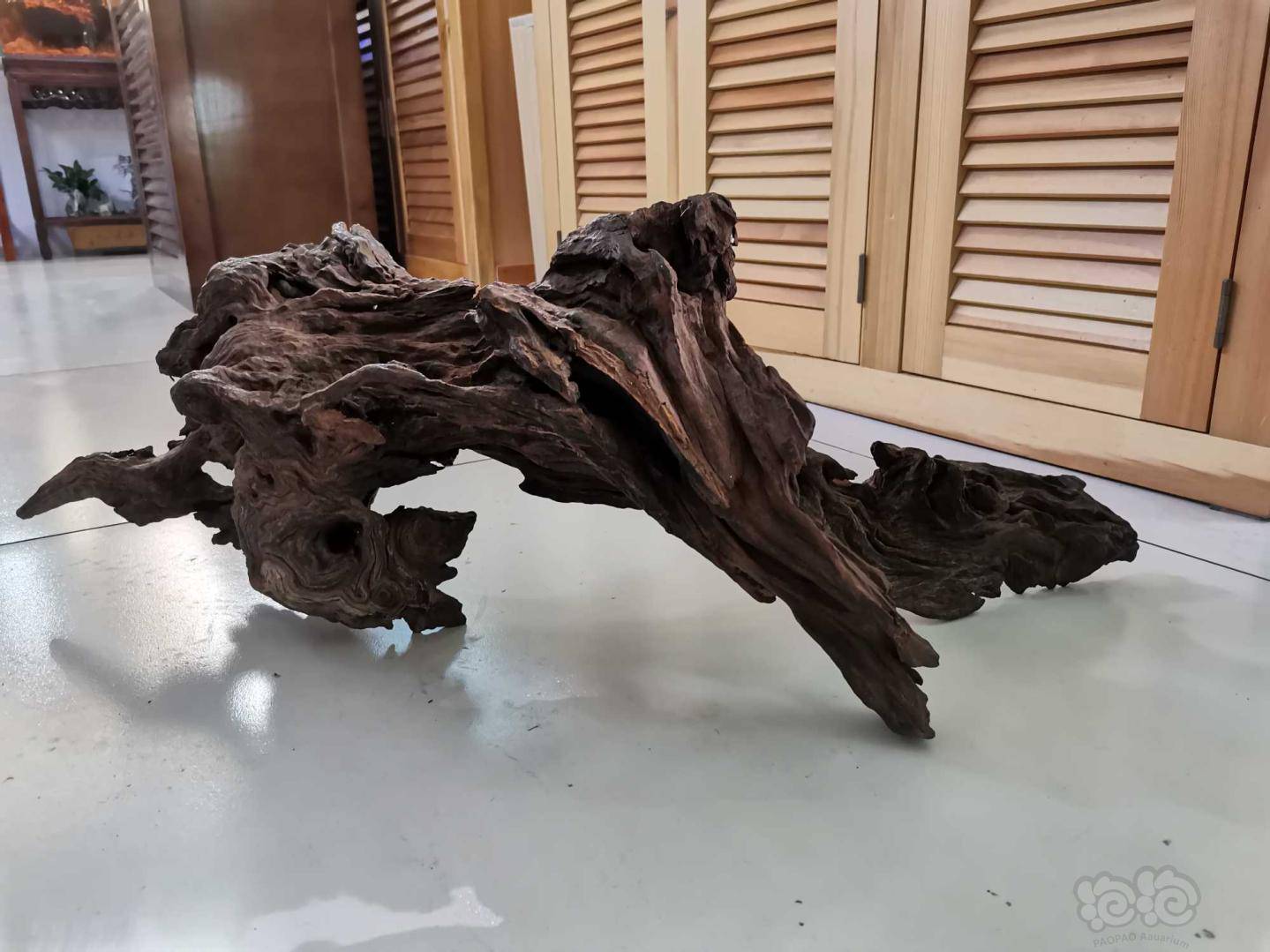 其他出沉木有造型有纹理有镂空