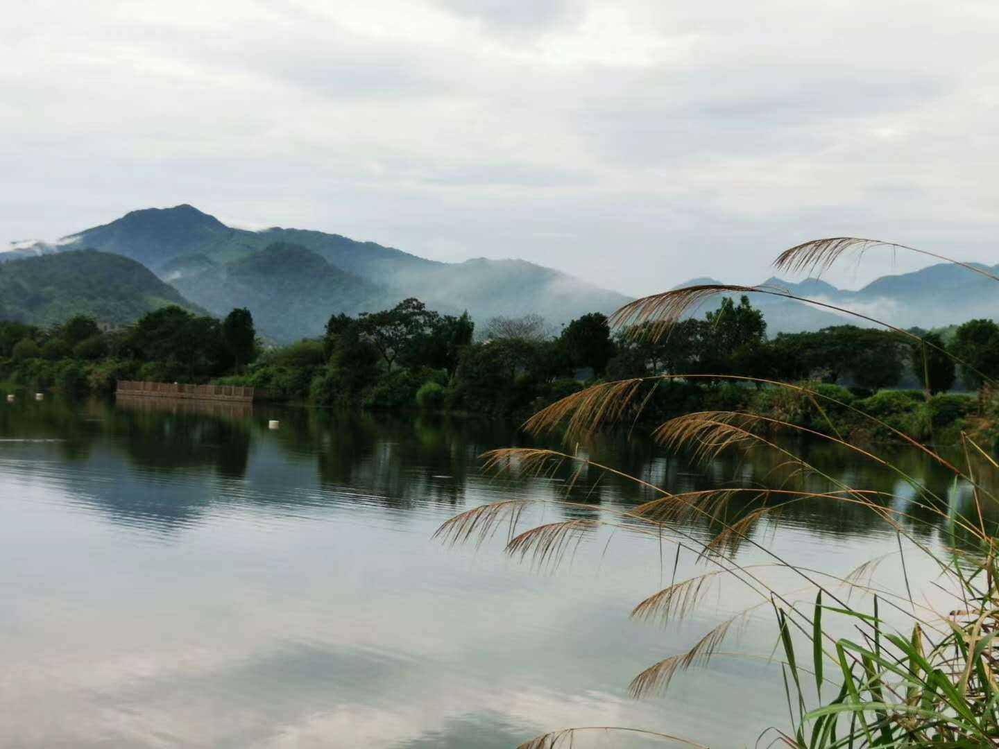 每日一景|杭州萧山仙女湖-图5