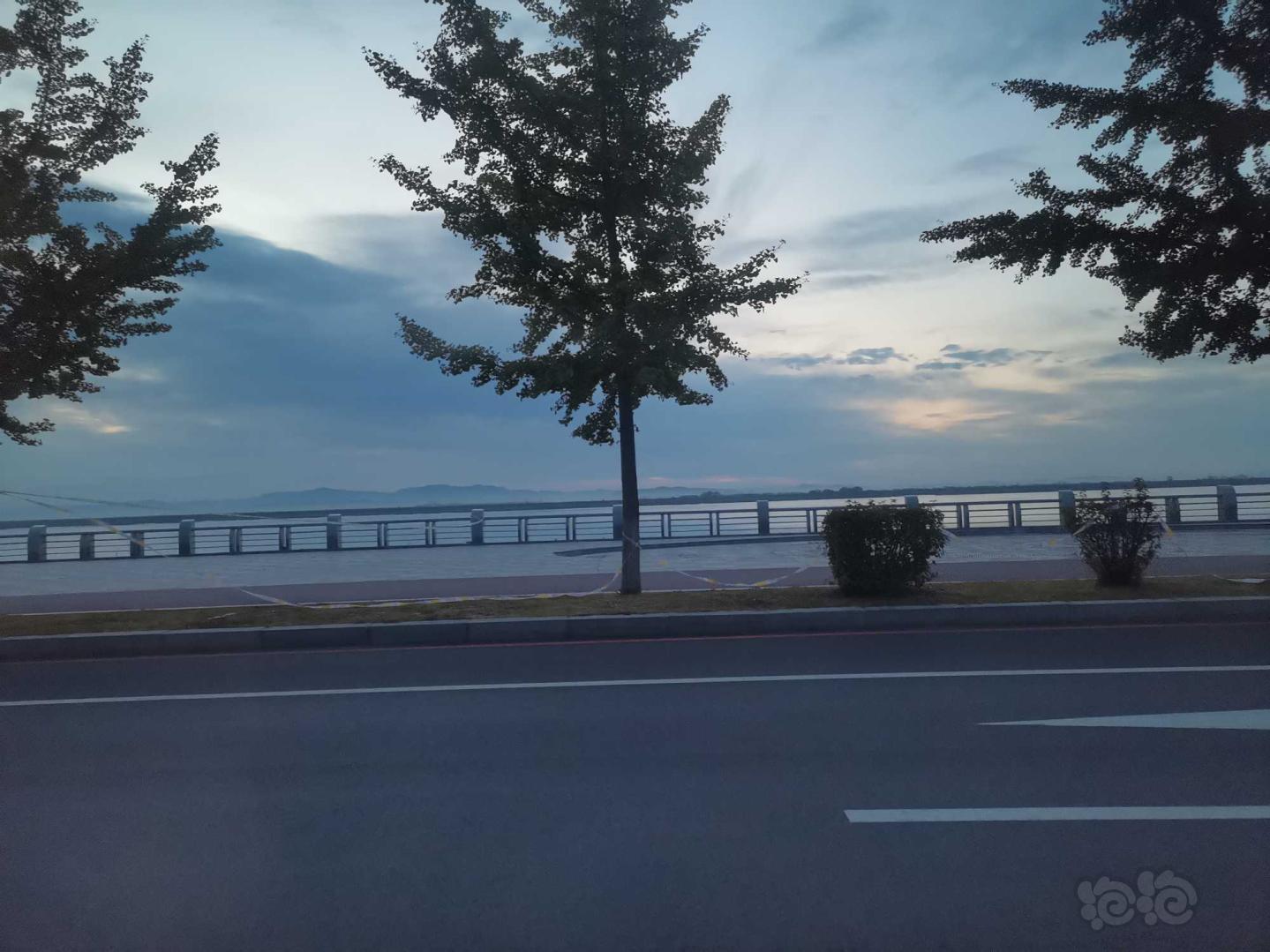 早上的鸭绿江 对面是朝鲜-图1