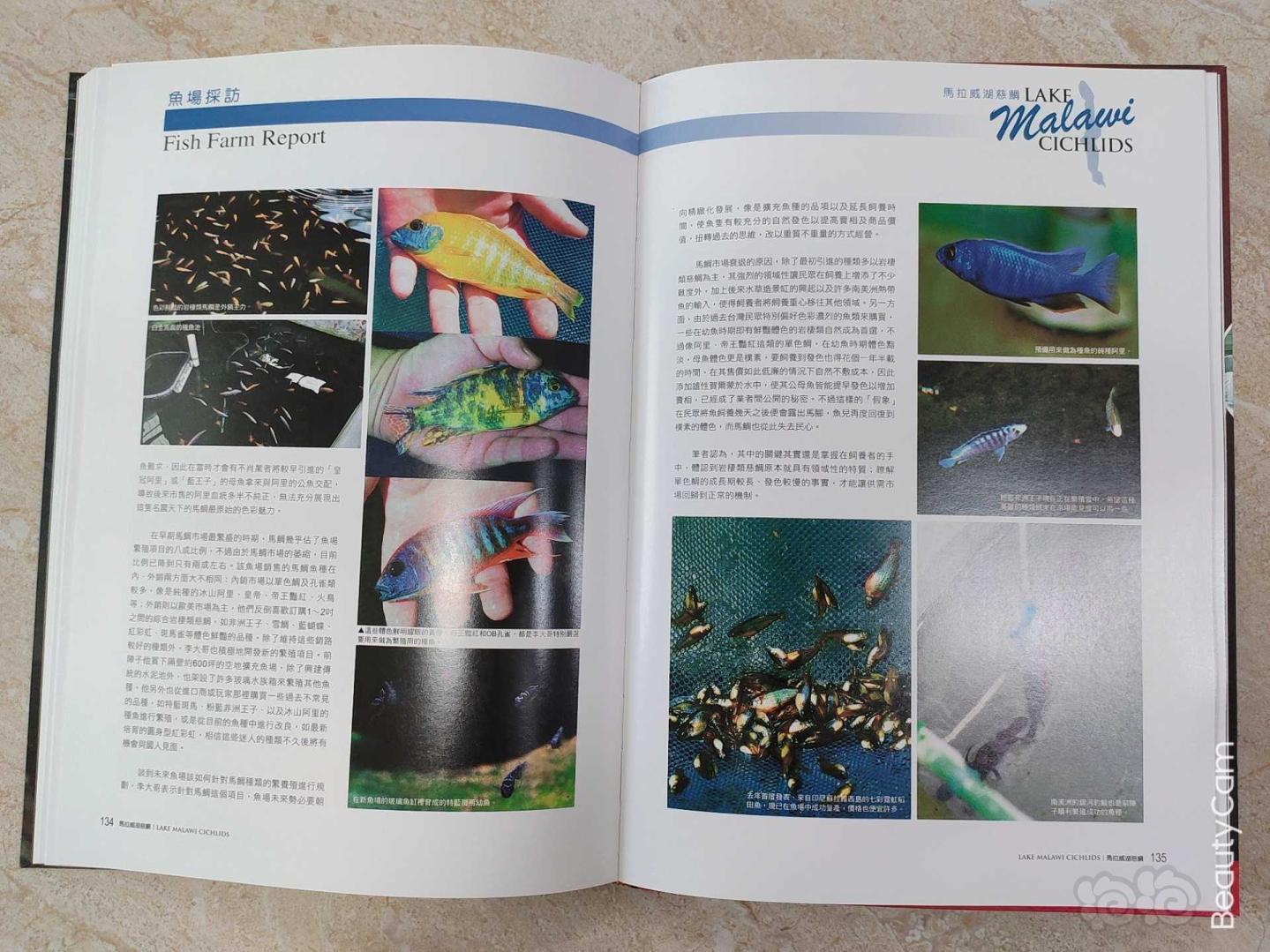 【其它】三湖慈鲷专业书籍《马拉威湖慈鲷》-图6