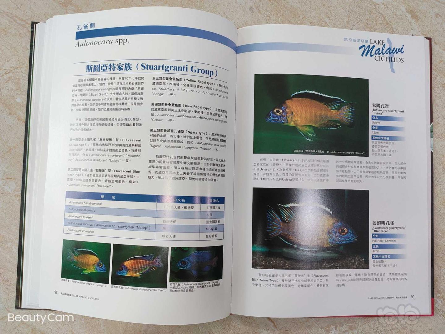 【其它】三湖慈鲷专业书籍《马拉威湖慈鲷》-图8