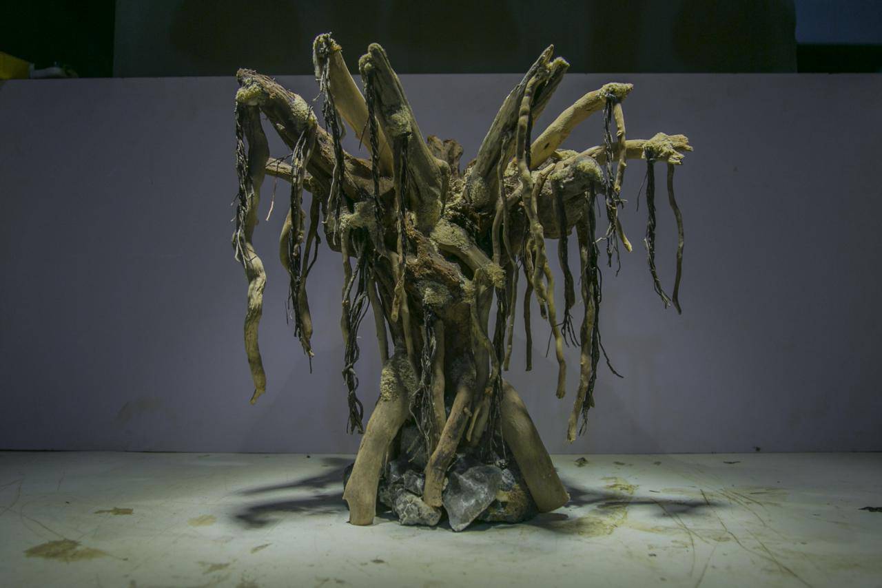 草缸造景骨架紫柚木莫斯树