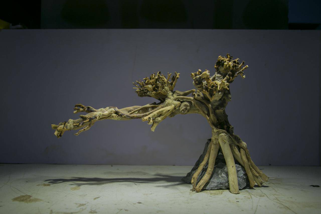 小型迎客松莫斯树草缸造景骨架