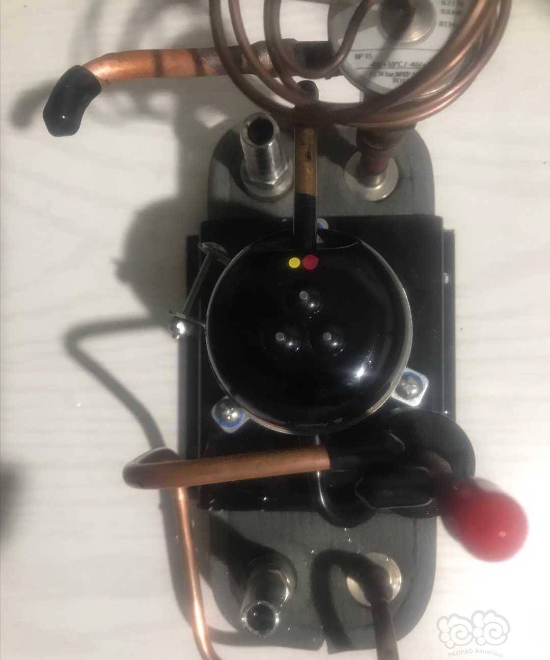 来吧展示diy冷水机