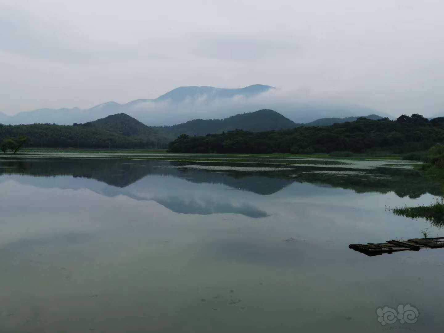 每日一景|杭州萧山仙女湖-图2