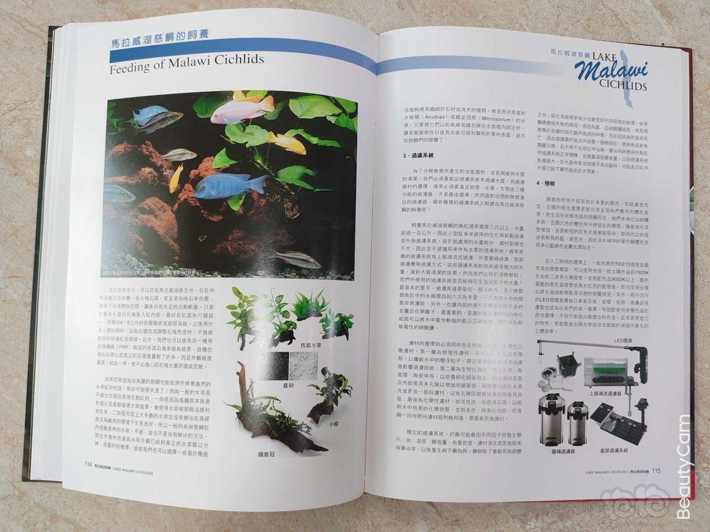 【其它】三湖慈鲷专业书籍《马拉威湖慈鲷》-图5
